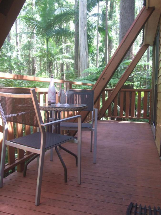 Springbrook Mountain Chalets Ngoại thất bức ảnh