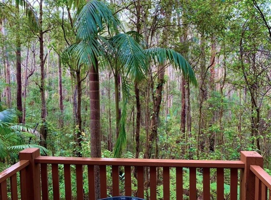 Springbrook Mountain Chalets Ngoại thất bức ảnh