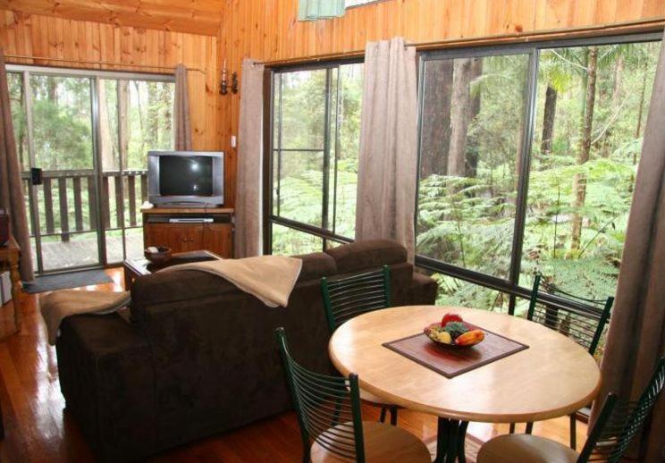 Springbrook Mountain Chalets Phòng bức ảnh