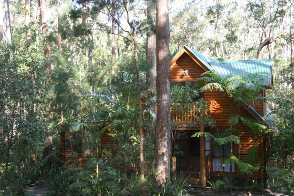 Springbrook Mountain Chalets Phòng bức ảnh