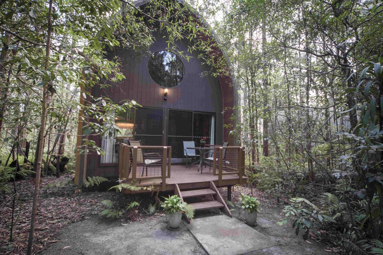 Springbrook Mountain Chalets Phòng bức ảnh